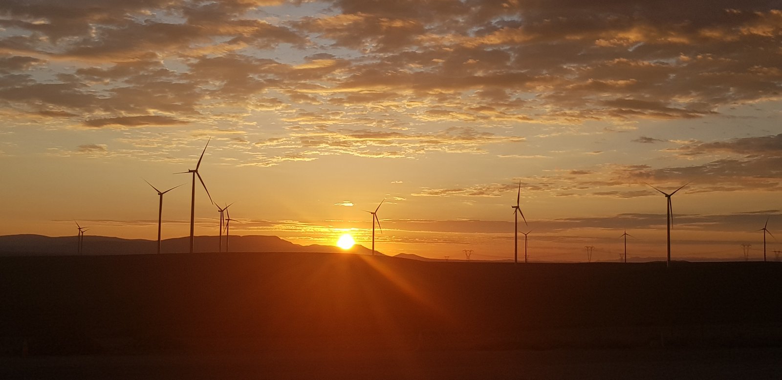 Read more about the article November 2020 – Perdekraal East & Kangnas Wind