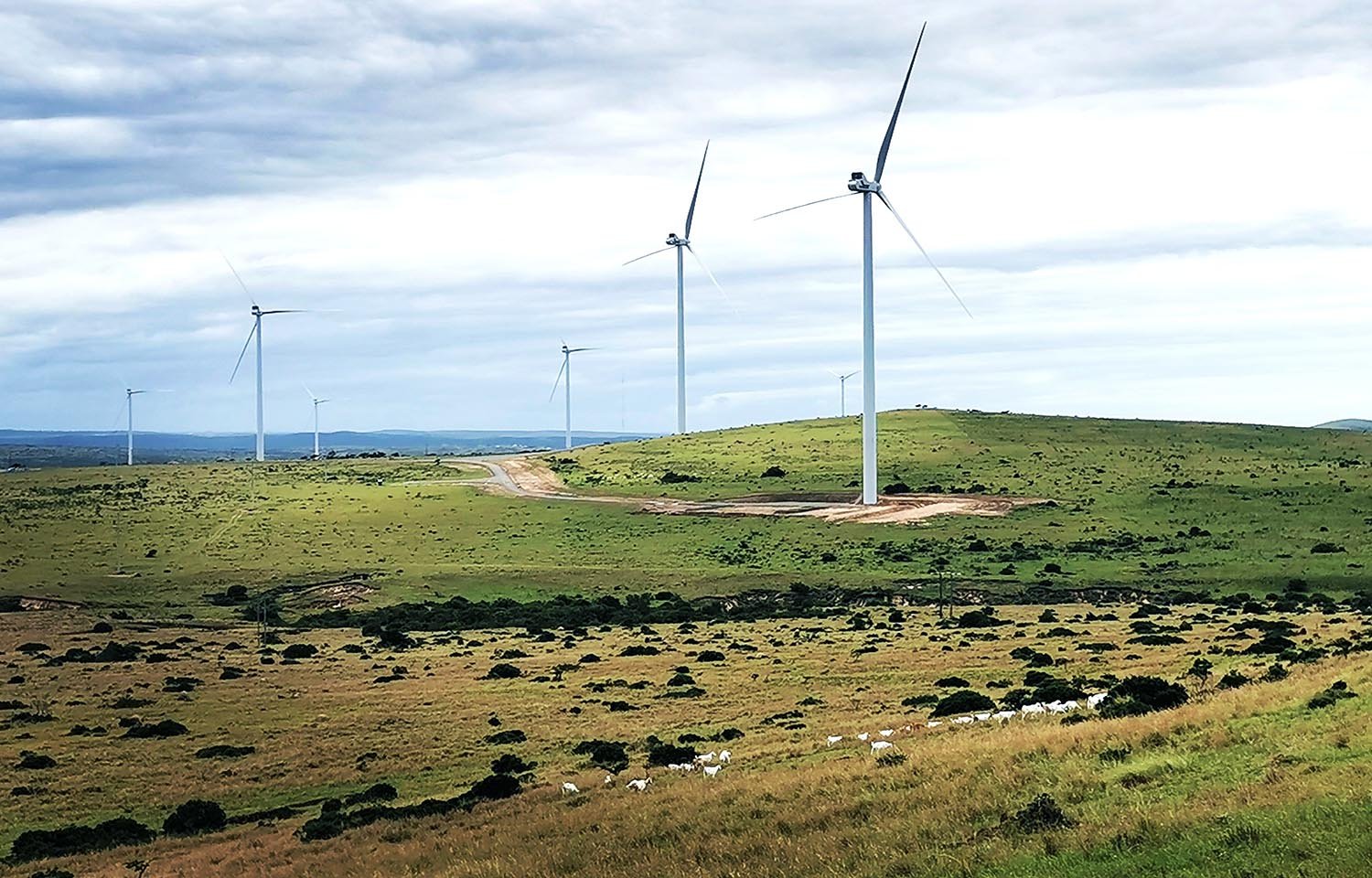 Read more about the article January 2023: EDF-R and H1 close three new wind projects